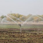 اجرای آبیاری نوین در ۲۵۰۰ هکتار از اراضی البرز