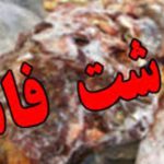 کشف ۷ تن گوشت  قاچاق در شهرستان فردیس