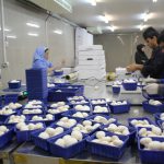 تولید سالانه ۲۶ هزارتن قارچ در استان البرز