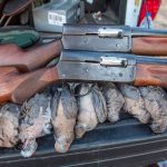 شکارچیان غیر مجاز ساوجبلاغ در دام قانون