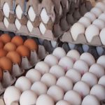 استان البرز نخستین استانی بود که در ساماندهی فروش تخم مرغ به صورت زنجیره سرد اقدام کرد