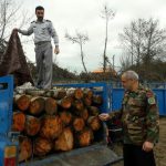 مسیرهای قاچاق چوب در استان برای قاچاقچیان ناامن شده است