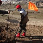اجرای طرح نیابتی کاشت درخت به‌نام شهدا در کرج