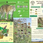 انتشار پوستر اینفوگرافی تنوع زیستی و جانوری استان البرز در فضای مجازی