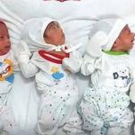 تولد نوزادان چهارقلو در کرج