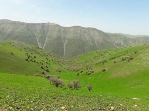 آغاز عملیات بذر پاشی در ۴۰ هکتار از مراتع البرز