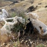 فراخوان حفاظت محیط زیست استان البرز برای پیوستن به پویش «نه به پلاستیک»